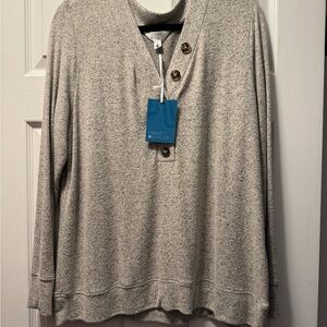Market & Spruce V-Neck Sweater in Light Gray